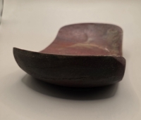 Schaal van tropisch hardhout met goud