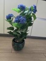grote groene pot met beukenhout